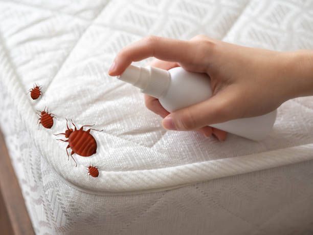 Best Residential Pest Control  in Newcomerstown, OH